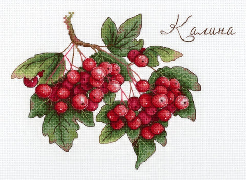 Siuvinėjimo raštas: ryškių raudonų kalinų kekė su žaliais lapais, detalus kryželių motyvas vienai šakelei