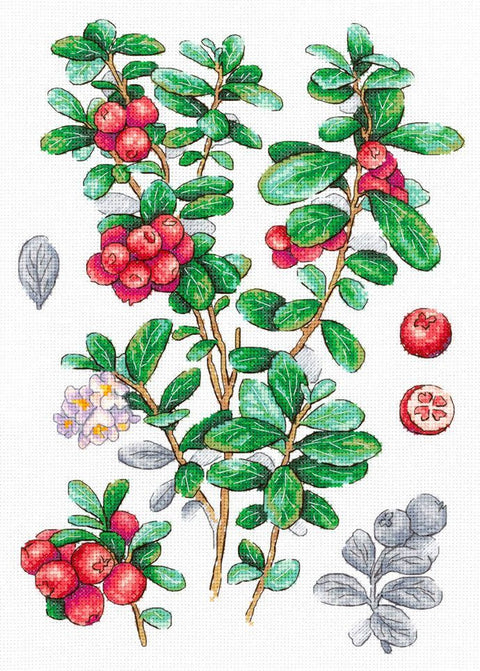 Kryželių siuvinėjimo rinkinys „Bruknių uogos“ 29x20 cm