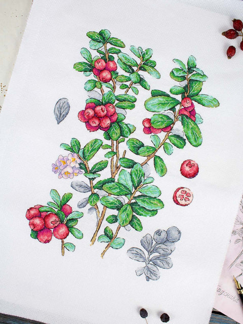 Kryželių siuvinėjimo rinkinys „Bruknių uogos“ 29x20 cm