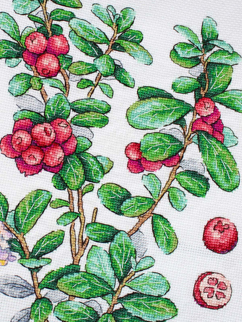 Kryželių siuvinėjimo rinkinys „Bruknių uogos“ 29x20 cm