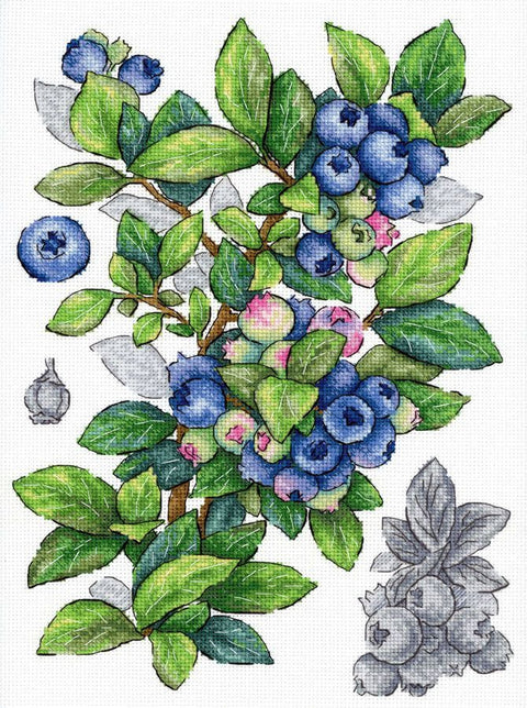 Mėlynių kryželių siuvinėjimo rinkinys, 28x20 cm, 31 spalva