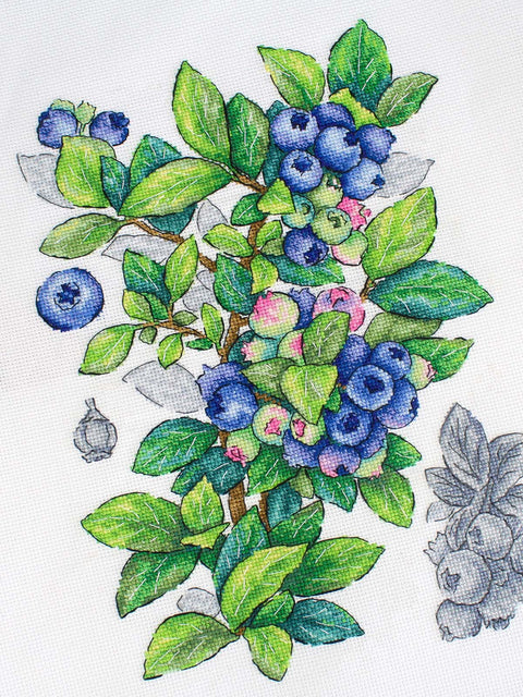 Mėlynių kryželių siuvinėjimo rinkinys, 28x20 cm, 31 spalva