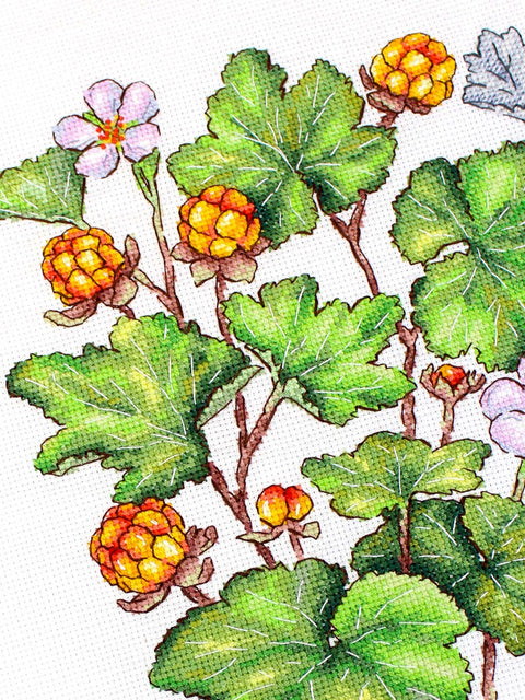Kryželiu siuvinėjimo rinkinys „Šiaurinė uoga“ 28x19 cm, 16 ct