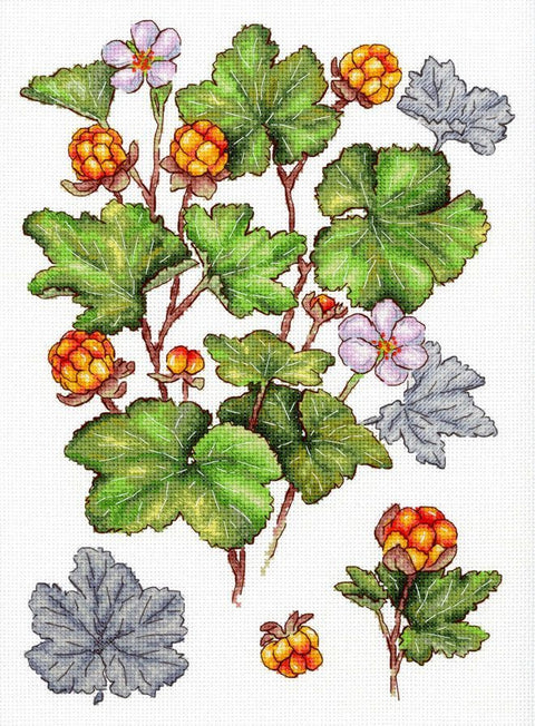 Kryželiu siuvinėjimo rinkinys „Šiaurinė uoga“ 28x19 cm, 16 ct