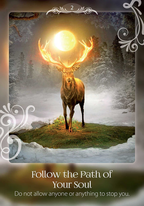 Earth Dancers: Soul Helper Oracle kortos Earth Dancer - HOBI.LT 🇱🇹