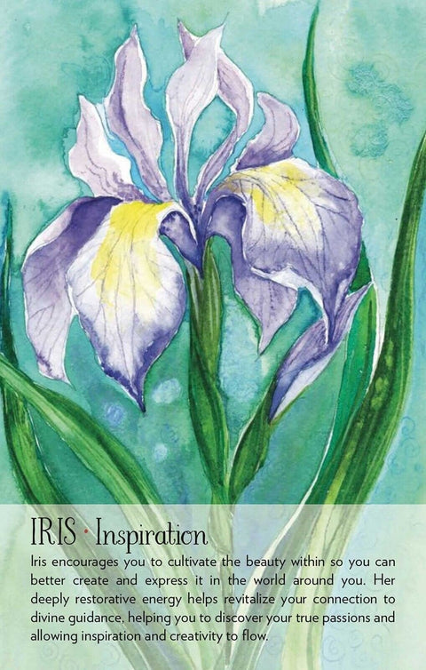 Findhorn Press: Soulflower Plant Spirit Oracle kortos - HOBI.LT 🇱🇹