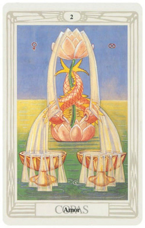 AGM: Spanish Cowley Thoth ispanų kalba Tarot kortos - HOBI.LT 🇱🇹