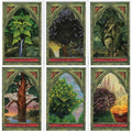 Welbeck Publishing: Spirit Of Nature Oracle kortos - HOBI.LT 🇱🇹