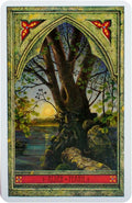 Welbeck Publishing: Spirit Of Nature Oracle kortos - HOBI.LT 🇱🇹