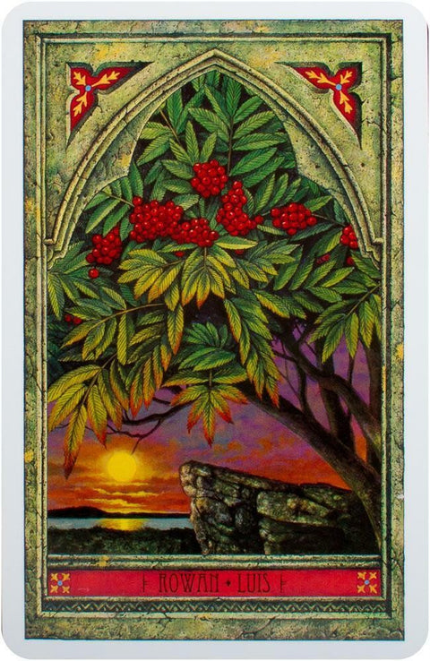 tarot korta Rowan – dekoratyvinė korta su raudonomis šermukšnių uogomis, saulėlydžiu ir akmenine terasa