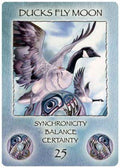 US Games Systems: Spirit Of The Wheel Meditation kortos - HOBI.LT 🇱🇹