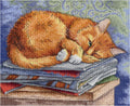 MP Studija: Studying Cat SNV - 595 siuvinėjimo rinkinys iš MP Studija - HOBI.LT 🇱🇹