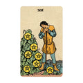 Septyni pentakliai tarot korta, kur vyriškis atsistoja prie krūvos su penkiakampiais ženklais, simbolizuoja kantrybę ir įvertinimą