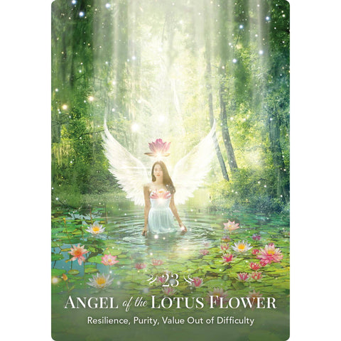 Angels of Nature Oracle – gamtos angelų orakulo kortos, Hay House