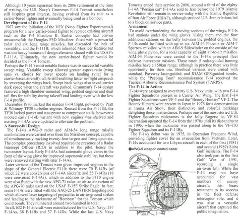 Tamiya Grumman F-14A Tomcat 1/48 plastikinis modelis (61114)