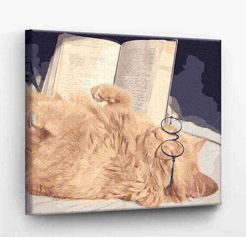 Tapybos rinkinys "Cat with a book"