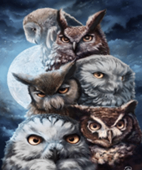 Tapybos rinkinys "Owl family"