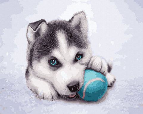 Tapybos rinkinys "Husky puppy with a ball"