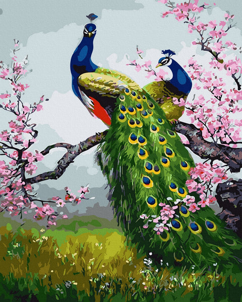 Tapybos rinkinys "Two peacocks"