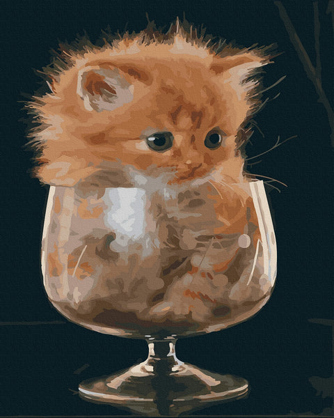 Tapybos rinkinys "A cat in a jar"