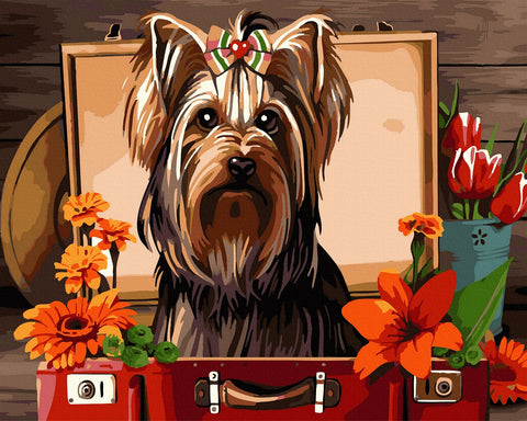 Tapybos rinkinys "Yorkshire terrier"