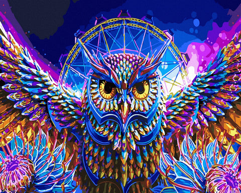 Tapybos rinkinys "A colorful owl"