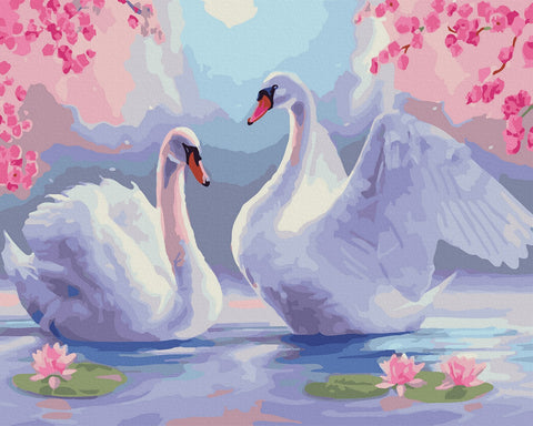 Tapybos rinkinys "A pair of swans"