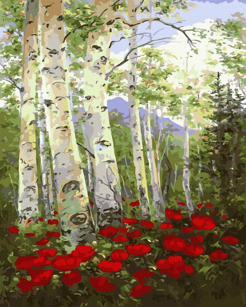 Tapybos rinkinys "Poppies among birch trees"