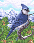 Wizardi: Tapybos Pagal Skaičius Rinkinys - Blue Jay 40x50 cm H106 - HOBI.LT 🇱🇹