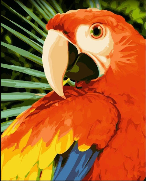 Wizardi: Tapybos pagal skaičius rinkinys: Macaw 40x50 cm H154 - HOBI.LT 🇱🇹