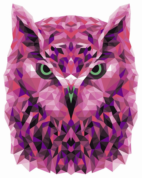 Wizardi: Tapybos pagal skaičius rinkinys: P002 Owl (polygon style) 40*50 - HOBI.LT 🇱🇹