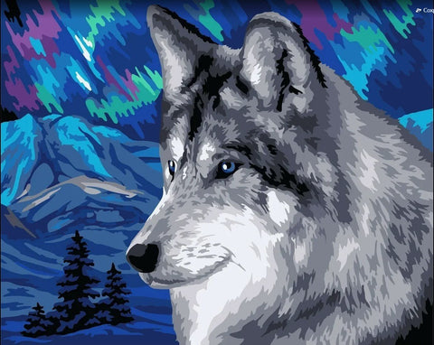 Wizardi: Tapybos pagal skaičius rinkinys: Polar wolf 40x50 cm H150 - HOBI.LT 🇱🇹