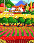 Artventura: Tapybos Pagal Skaičius Rinkinys - Rainbow Field 50x40 cm T50400195 - HOBI.LT 🇱🇹