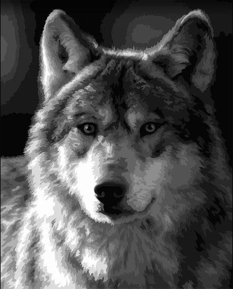 Wizardi: Tapybos pagal skaičius rinkinys: Silver wolf 40x50 cm F015 - HOBI.LT 🇱🇹