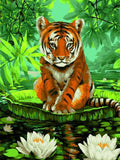 Wizardi: Tapybos pagal skaičius rinkinys: Tiger and Water Lilies 40x50 cm S052 - HOBI.LT 🇱🇹