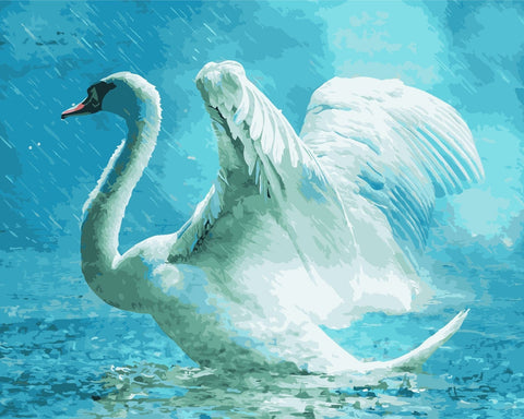 Wizardi: Tapybos Pagal Skaičius Rinkinys - White Swan 40x50 cm H002 - HOBI.LT 🇱🇹