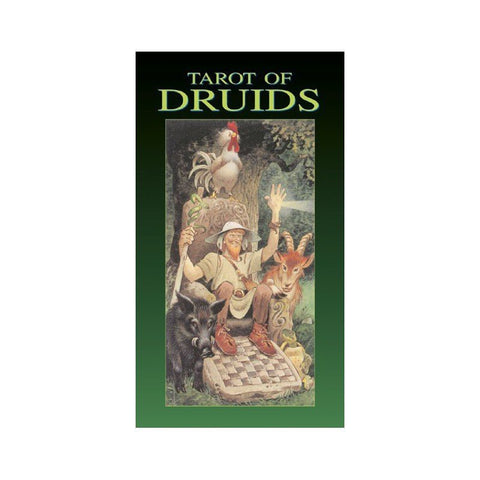 Lo Scarabeo: Tarott Of Druids kortos - HOBI.LT 🇱🇹