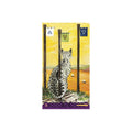 Lo Scarabeo: Tarott Of Pagan Cats kortos - HOBI.LT 🇱🇹