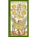 Tarot korta VII Denari, priekinis dizainas su žaliu rėmeliu, angelėliu, aukso monetomis ir kaukole, kolekcinė variacija