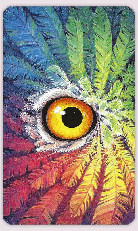 Tarott of the owls kortos