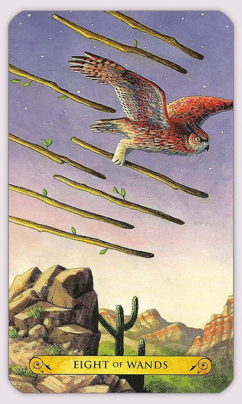 Tarott of the owls kortos
