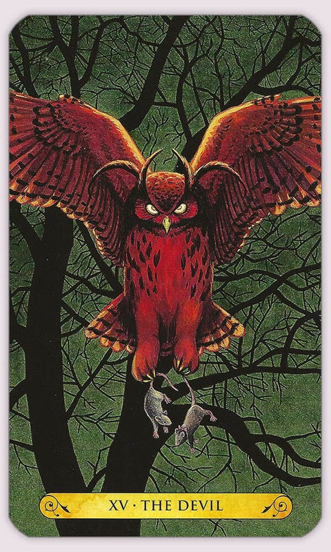 Tarott of the owls kortos