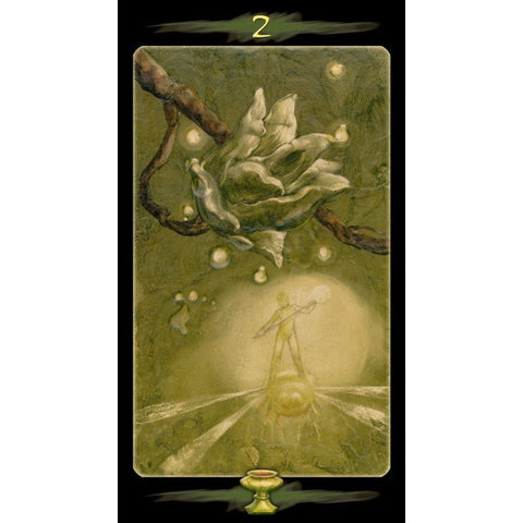 Lo Scarabeo: Tarott Of The Secret Forest kortos - HOBI.LT 🇱🇹