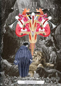 Weiser books: The Alchemical Visions Tarott kortos - HOBI.LT 🇱🇹