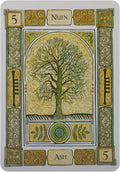 Welbeck Publishing: The Celtic Tree Oracle kortos I - HOBI.LT 🇱🇹