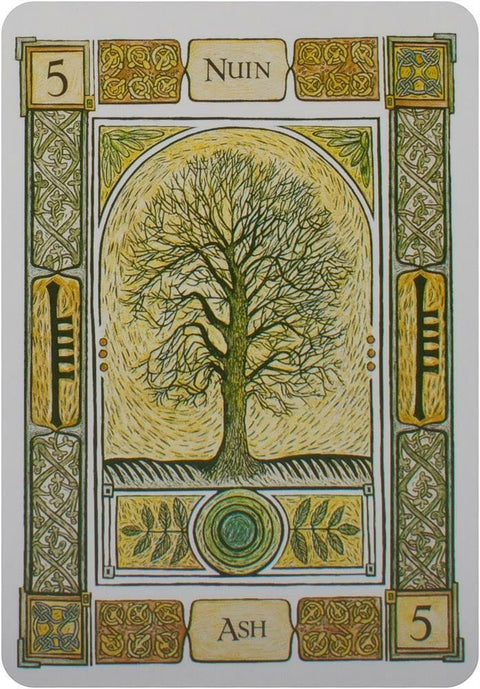 Welbeck Publishing: The Celtic Tree Oracle kortos I - HOBI.LT 🇱🇹