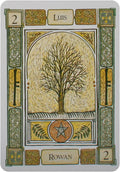 Welbeck Publishing: The Celtic Tree Oracle kortos I - HOBI.LT 🇱🇹