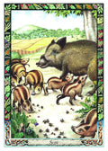 Welbeck Publishing: The Celtic Tree Oracle kortos II - HOBI.LT 🇱🇹