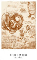 Plakatas "Three of Fire" sepijos tonais, 30×45 cm, Leonardo stiliaus embriono piešinys centre, skirtas minimalistinei sienai