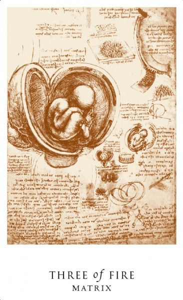 Plakatas "Three of Fire" sepijos tonais, 30×45 cm, Leonardo stiliaus embriono piešinys centre, skirtas minimalistinei sienai